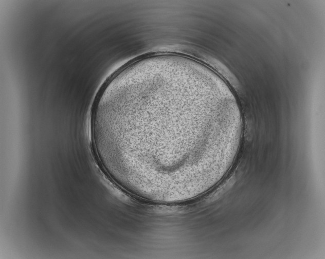 X0000112401036200909041332