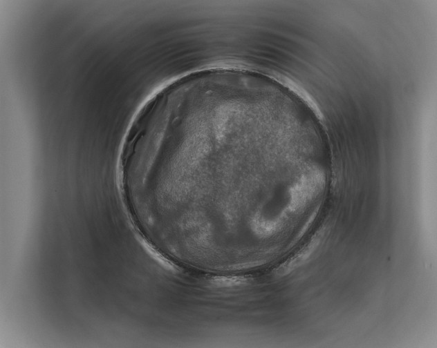 X0000112401037200909041332