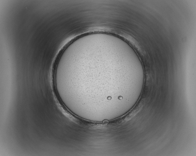 X0000112401038200909041332