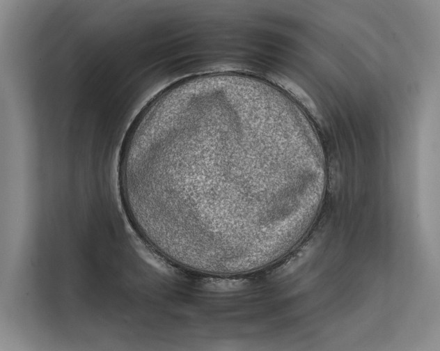 X0000112401039200909041332