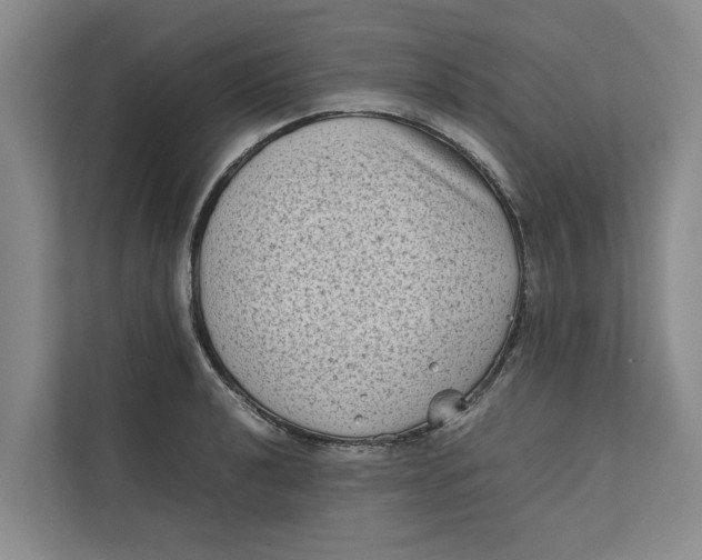 X0000112401040200909041332