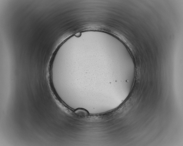 X0000112401042200909041332