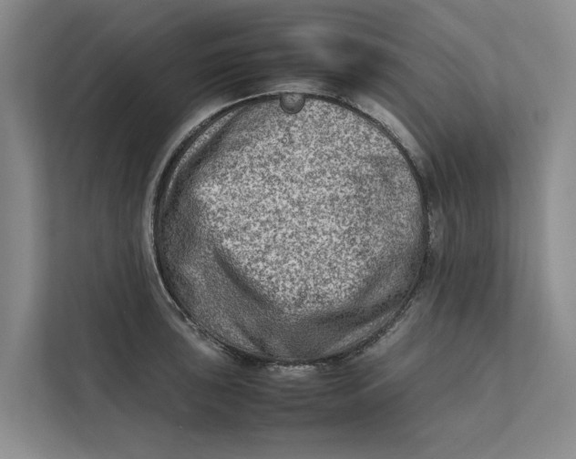 X0000112401043200909041332