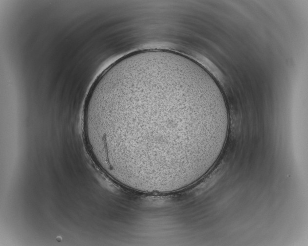 X0000112401044200909041332
