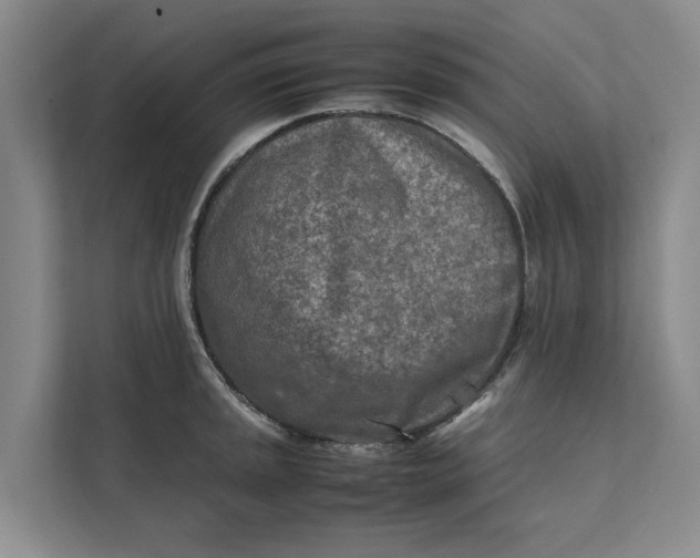 X0000112401045200909041332