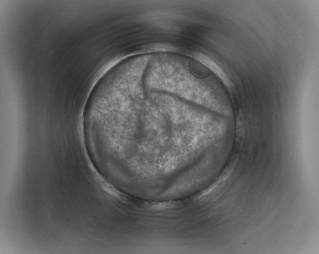 X0000112401047200909041332
