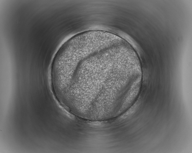 X0000112401048200909041332