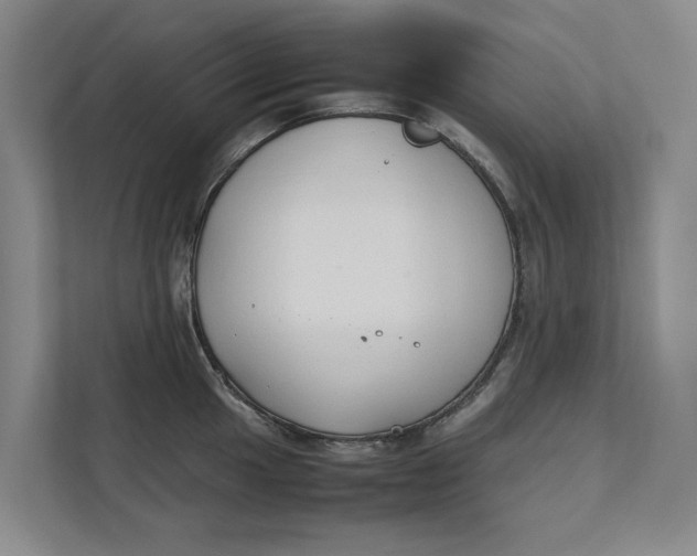 X0000112401049200909041332