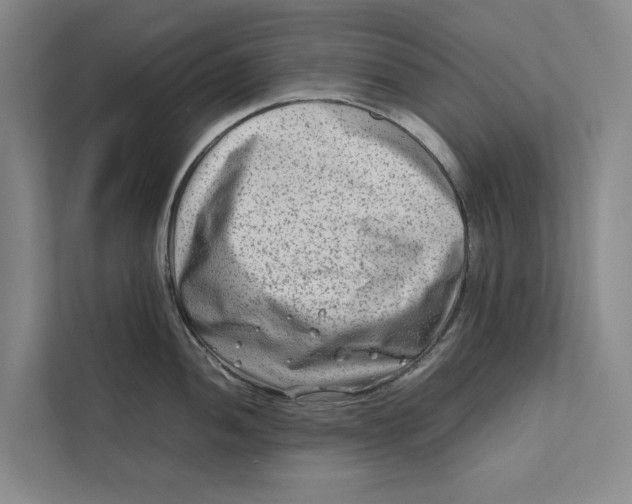 X0000112401052200909041332