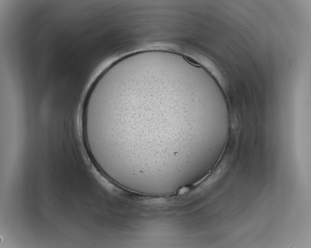 X0000112401054200909041332