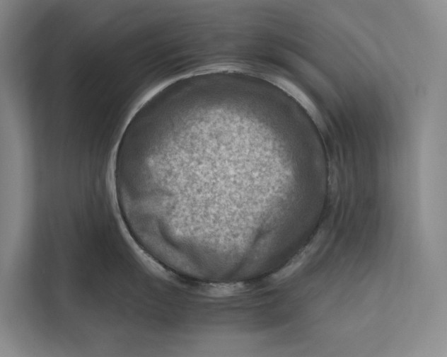 X0000112401055200909041332