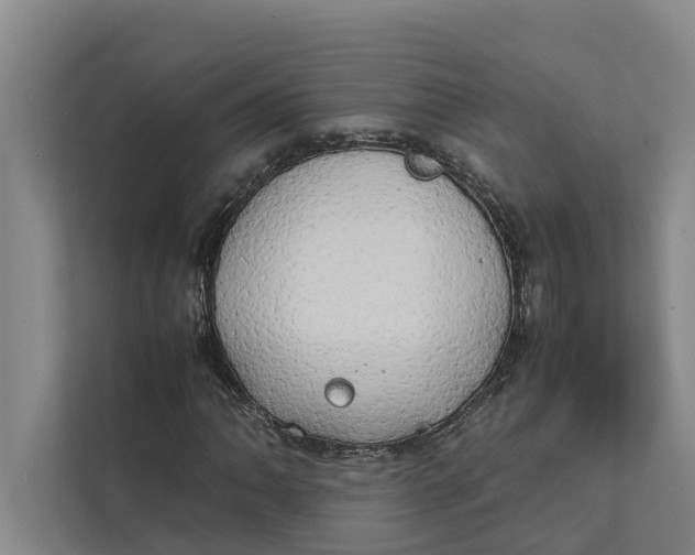 X0000112401062200909041331