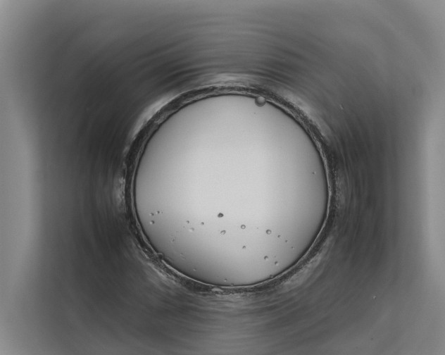 X0000112401066200909041331