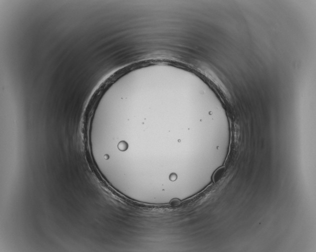 X0000112401068200909041331