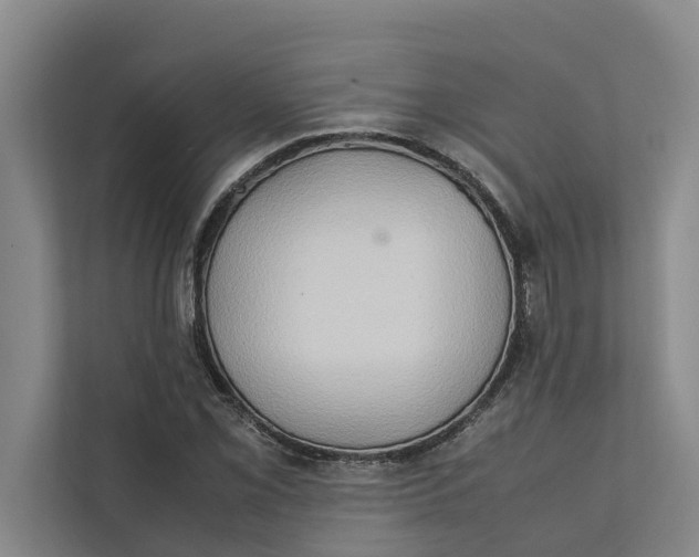 X0000112401069200909041331