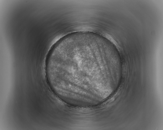 X0000112401071200909041331