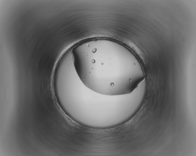 X0000112401072200909041331