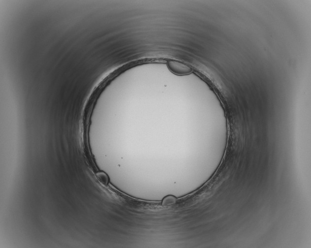 X0000112401076200909041331
