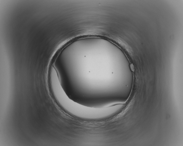 X0000112401077200909041331
