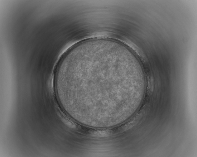 X0000112401078200909041331