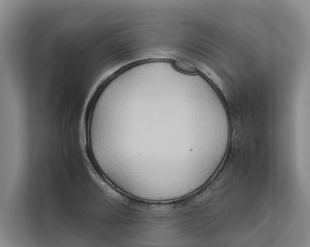X0000112401080200909041331