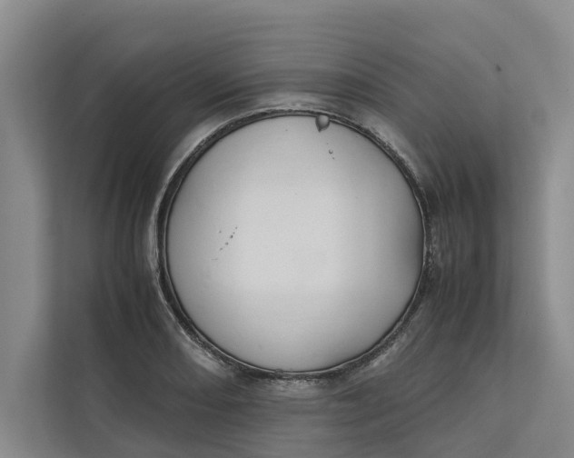 X0000112401082200909041331