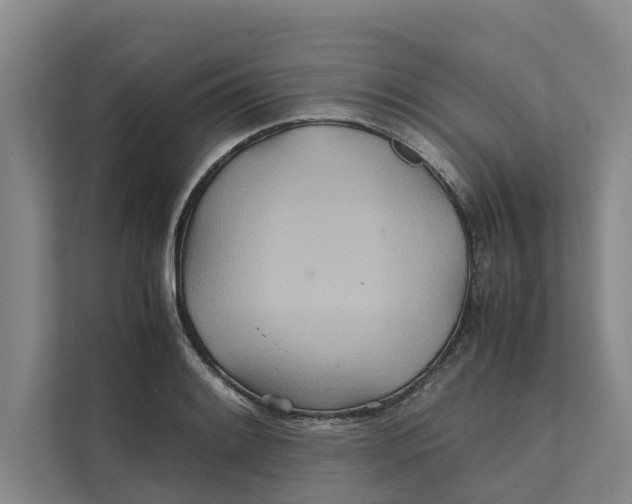 X0000112401084200909041331