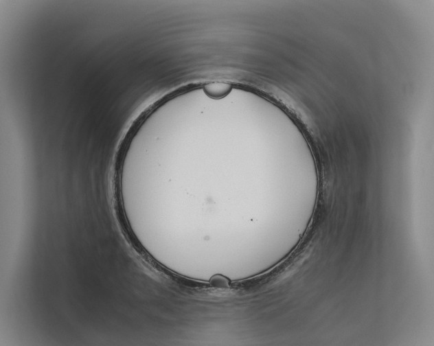 X0000112401085200909041331