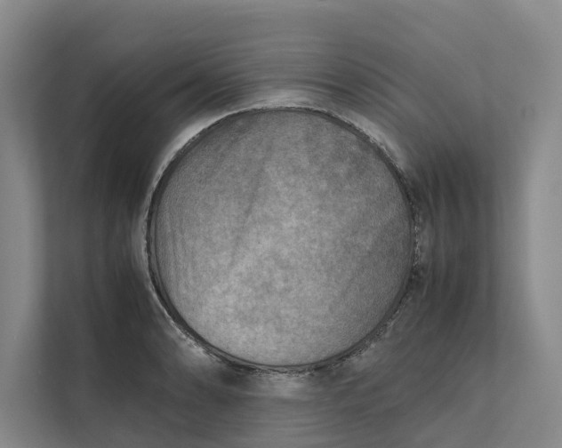 X0000112401086200909041331