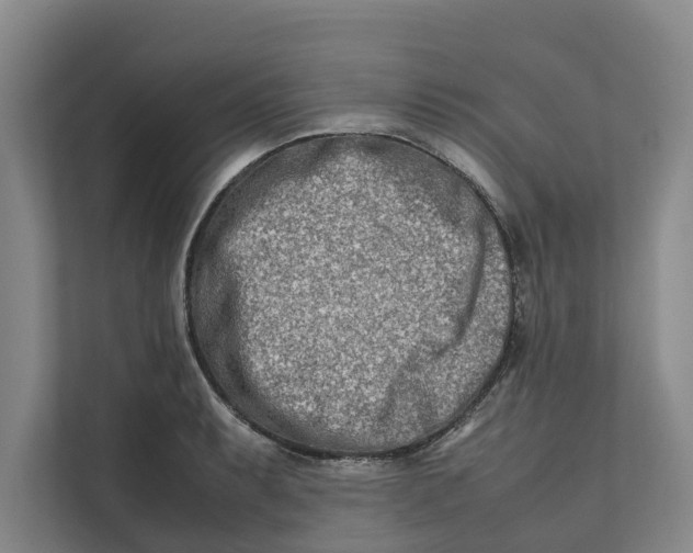 X0000112401087200909041331