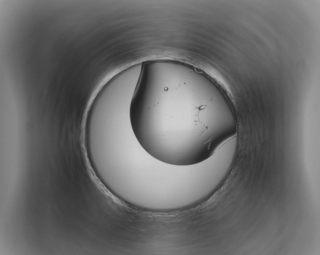 X0000112401088200909041331