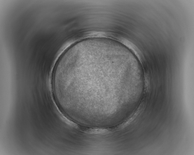X0000112401090200909041331