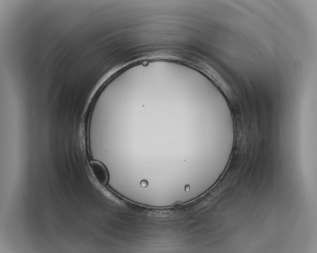 X0000112401092200909041331