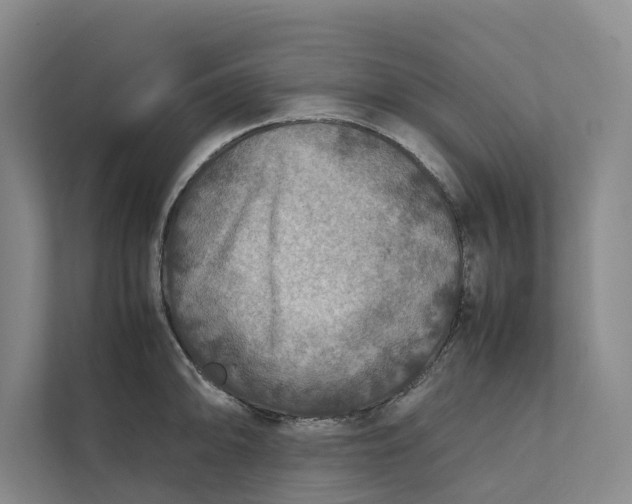X0000112401094200909041331