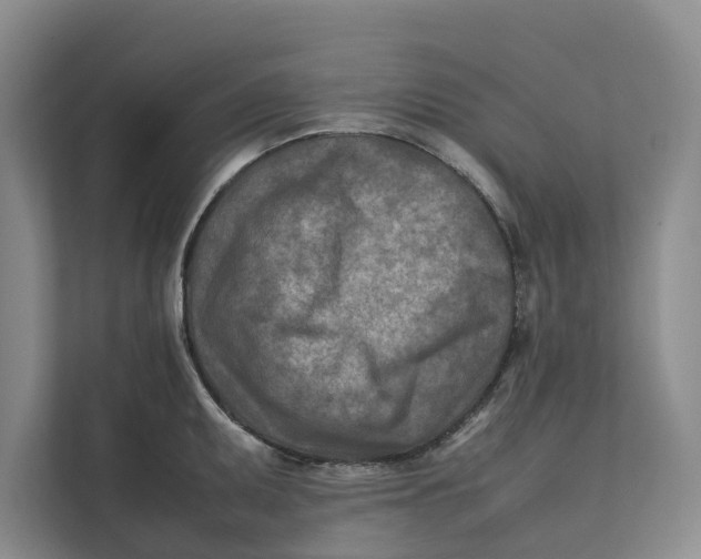 X0000112401095200909041331