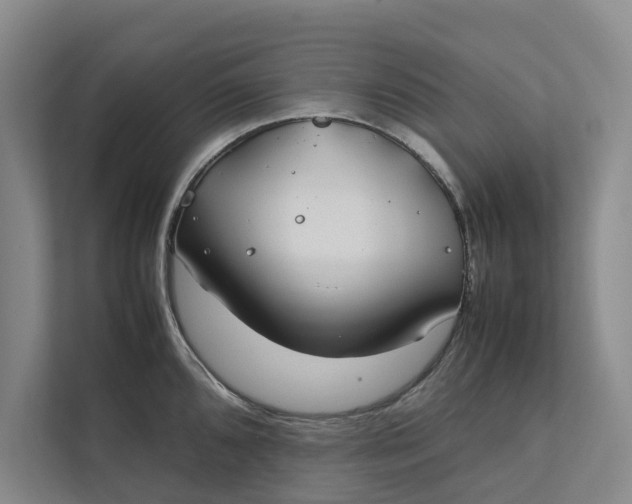 X0000112401096200909041331