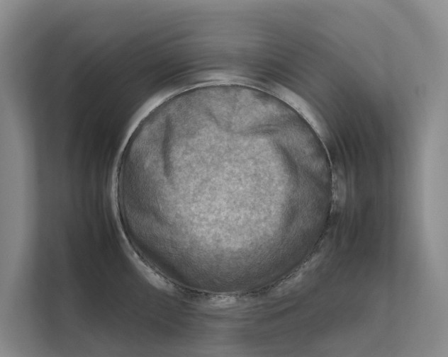 X0000112401098200909041331