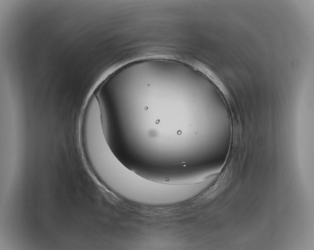 X0000112401101200909041331