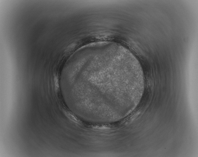 X0000112401106200909041330