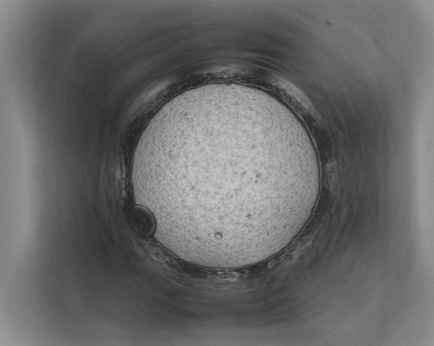 X0000112401111200909041330