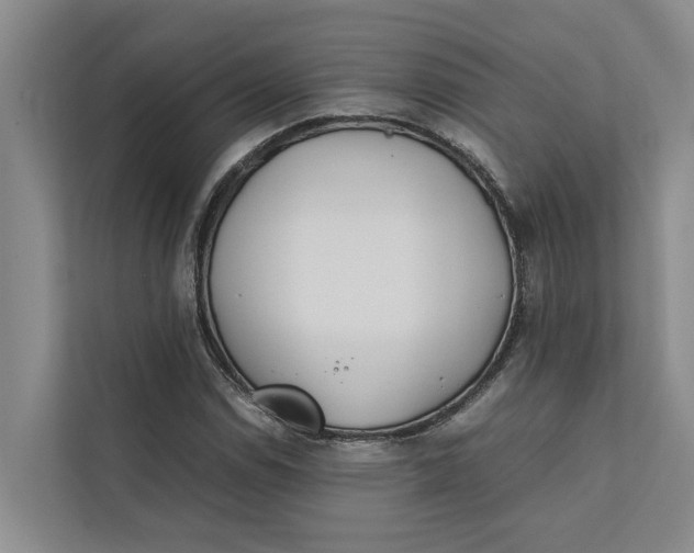 X0000112401114200909041330