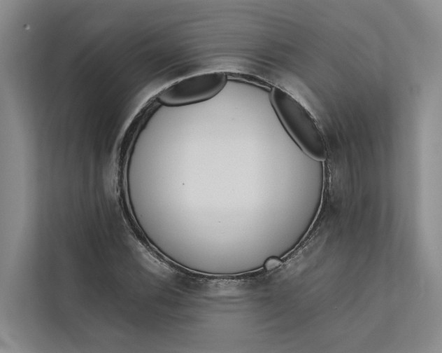 X0000112401116200909041330