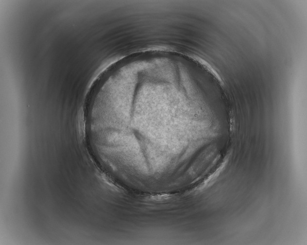 X0000112401117200909041330