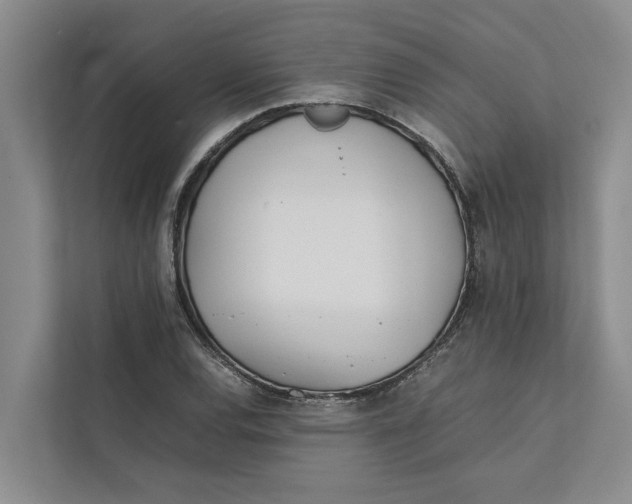 X0000112401120200909041330