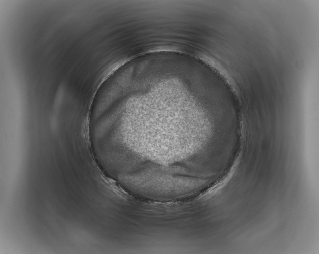 X0000112401121200909041331