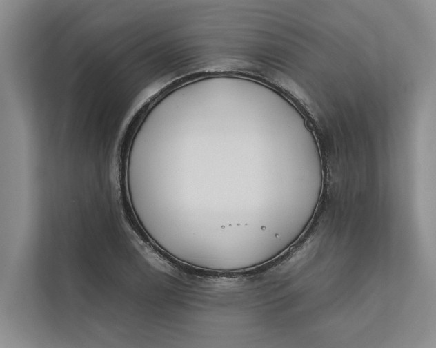 X0000112401122200909041331