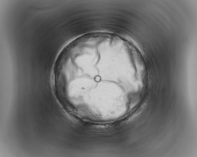 X0000112401125200909041331