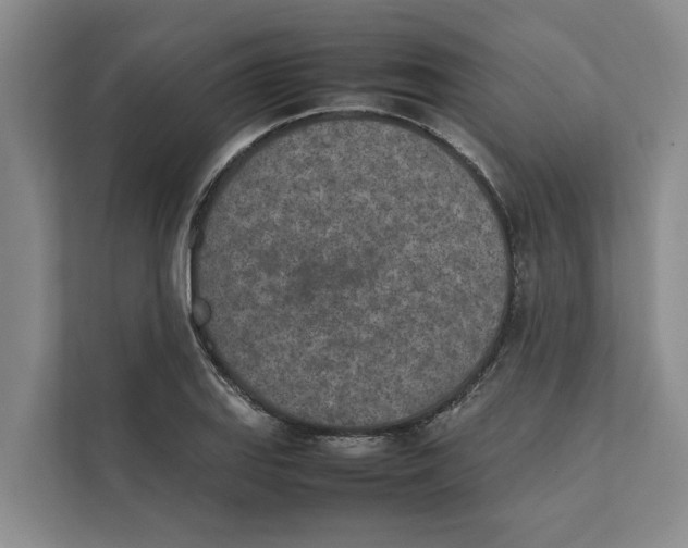 X0000112401127200909041331