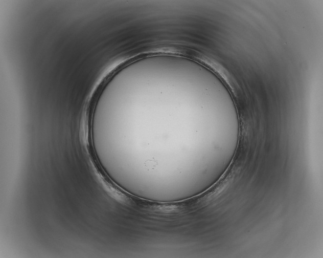 X0000112401131200909041331