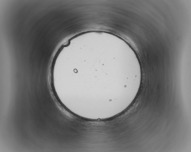 X0000112401136200909041331